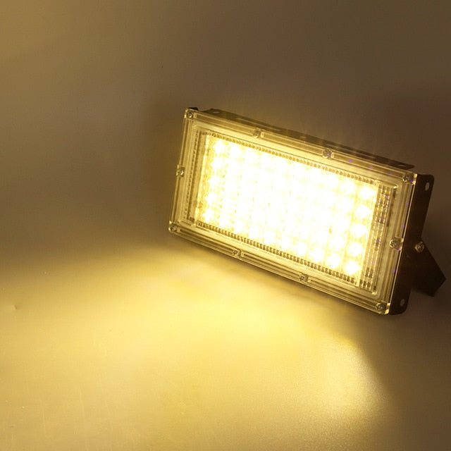 LED Grow Light Phyto Lamp AC 220V 50W LED Full Spectrum Floodlight Indoor Outdoor Greenhouse Plant Hydroponic Plant Spotlight