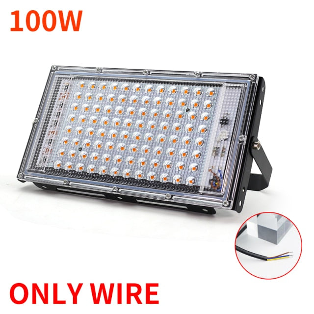 LED Grow Light Full Spectrum Light 220V 50W 100W With EU Plug Led Grow lamps For Greenhouse Hydroponic Flower Seeding Phyto Lamp