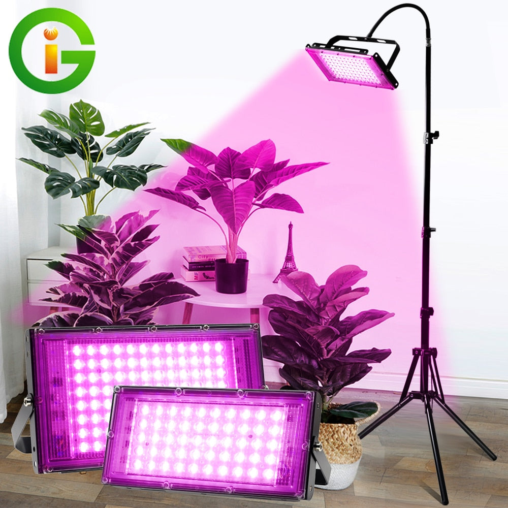 Full Spectrum LED Grow Light With Stand AC220V Phyto Lamp With On/Off Switch For Greenhouse Hydroponic Plant Growth Lighting